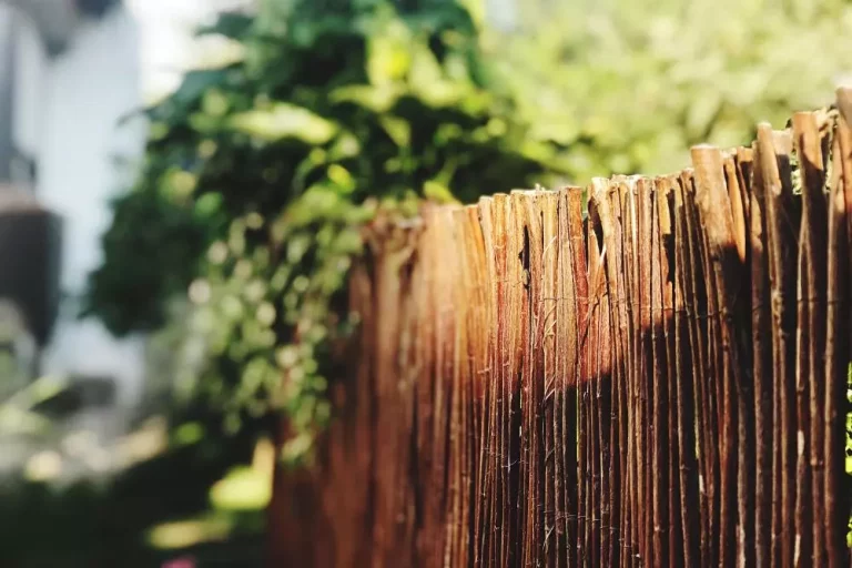 Rolki z wikliny - Cudowny Świat Wikliny