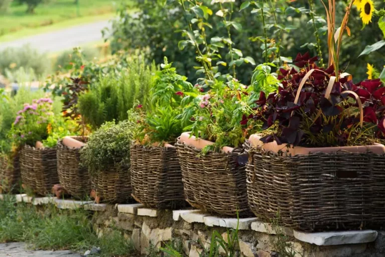 Jak chronić wiklinę przed deszczem i słońcem?