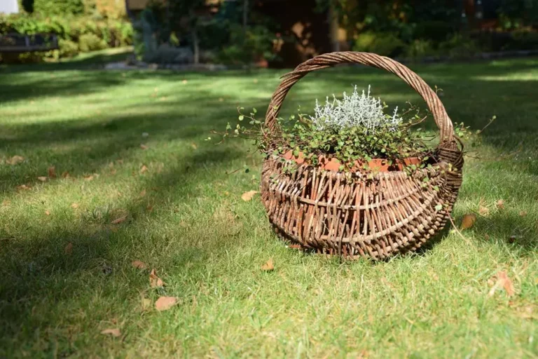 Magia rustykalnych ogrodów – wiklinowe inspiracje