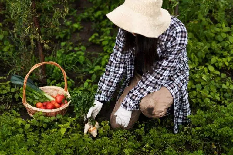 Twój kosz wiklinowy podczas jesiennych prac w ogrodzie