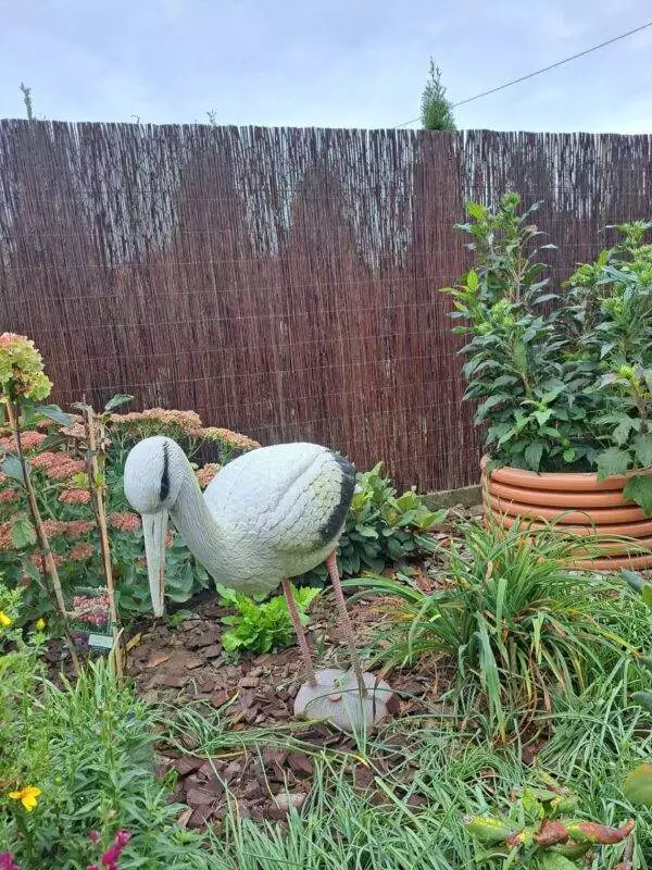 20240911_160146-scaled 20240911_160146-scaled