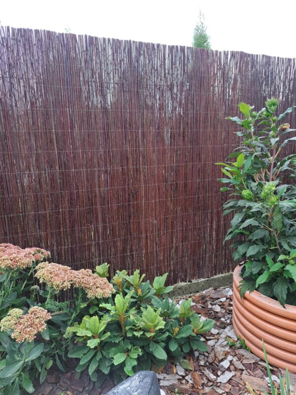 20240911_160200-scaled 20240911_160200-scaled