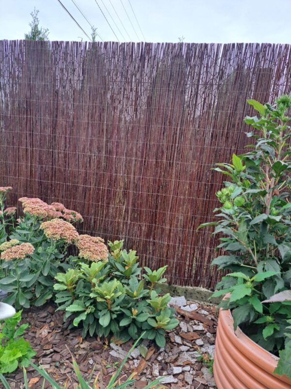 20240911_160207-scaled 20240911_160207-scaled