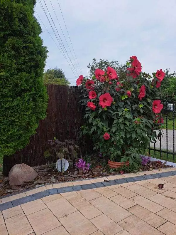 20240911_162000-scaled 20240911_162000-scaled