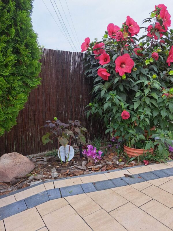 20240911_162008-scaled 20240911_162008-scaled