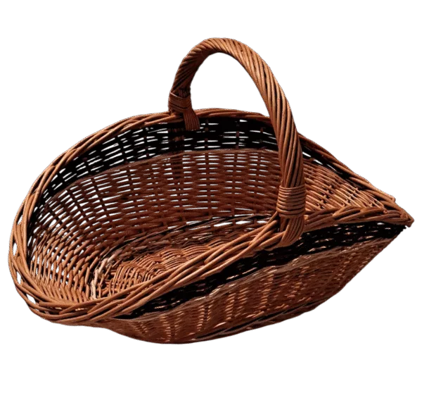 Photoroom-20241026_184332-e1730049740937