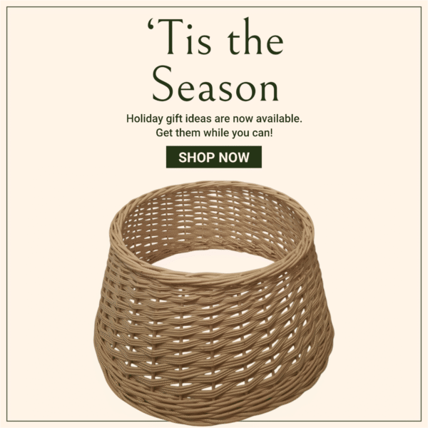 Photoroom-20241204_200614 Photoroom-20241204_200614