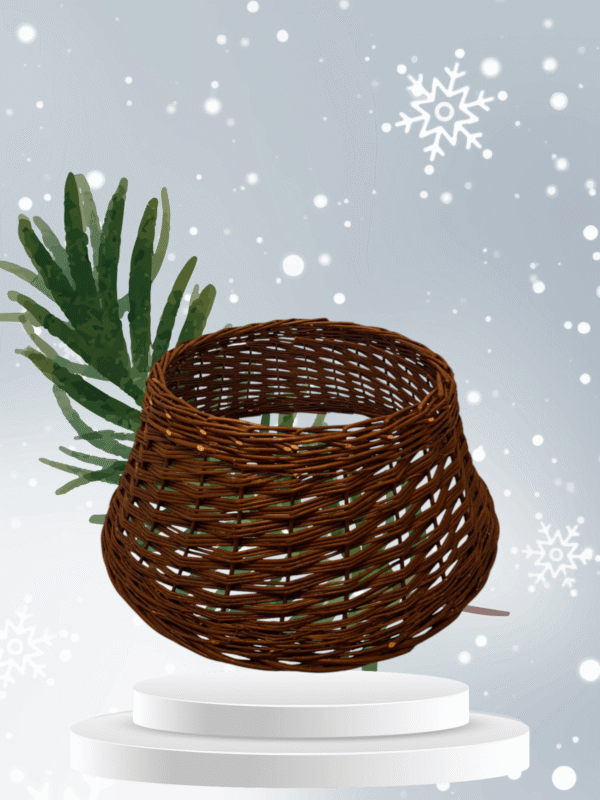 Photoroom-20241204_201016-1 Photoroom-20241204_201016-1