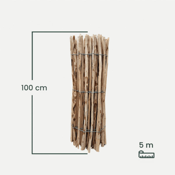 leszczyna_100-1 leszczyna_100-1