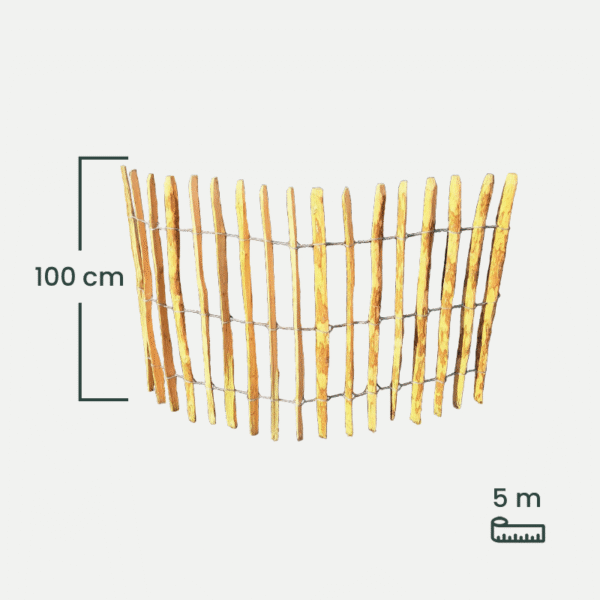 leszczyna_100 leszczyna_100