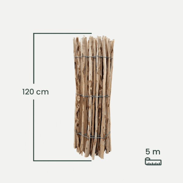 leszczyna_120-1 leszczyna_120-1