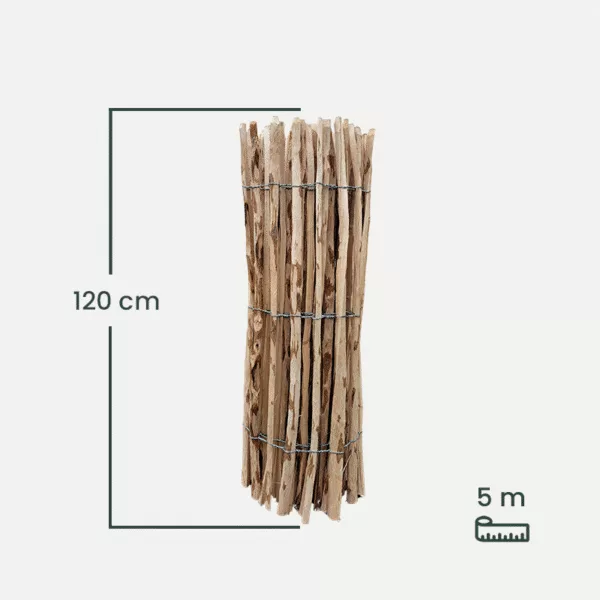 leszczyna_120-1 leszczyna_120-1