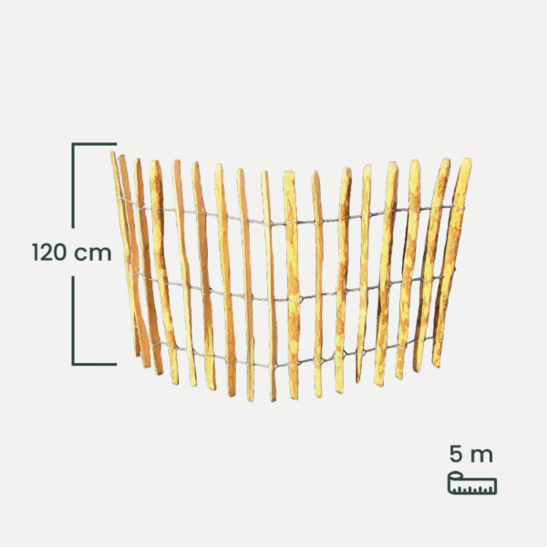 leszczyna_120 leszczyna_120