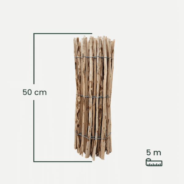 leszczyna_50-1 leszczyna_50-1