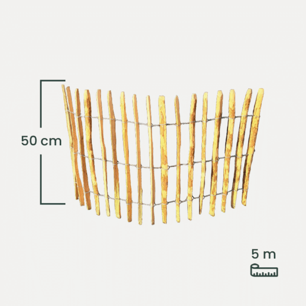 leszczyna_50 leszczyna_50