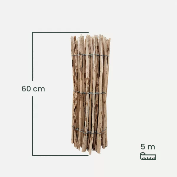 leszczyna_60-1 leszczyna_60-1