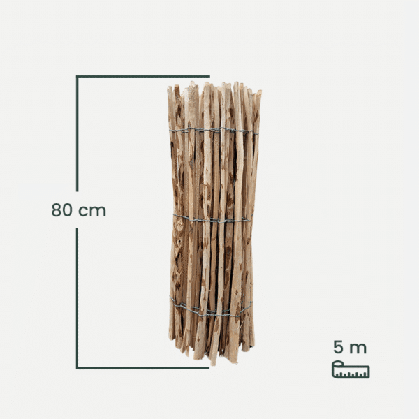 leszczyna_80-1 leszczyna_80-1