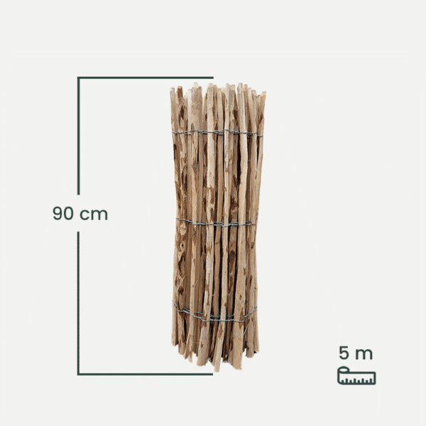 leszczyna_90-1 leszczyna_90-1