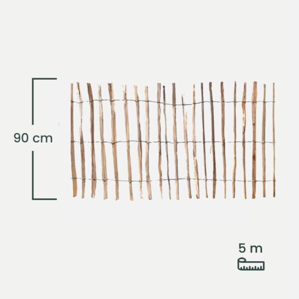 leszczyna_90 leszczyna_90