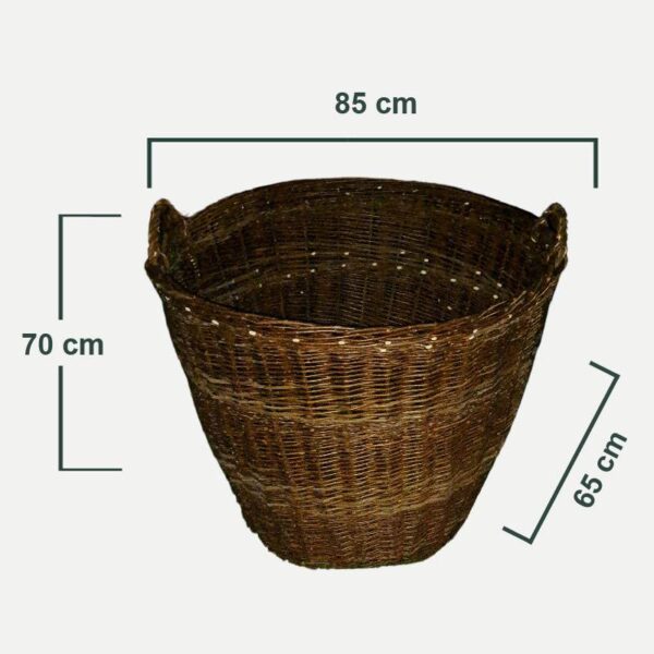 lez__3-01-01-1 lez__3-01-01-1