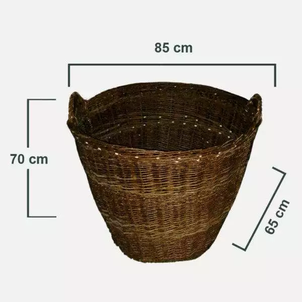 lez__3-01-01-1 lez__3-01-01-1