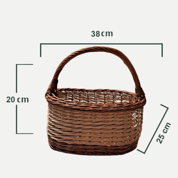 lez__3d-01 lez__3d-01