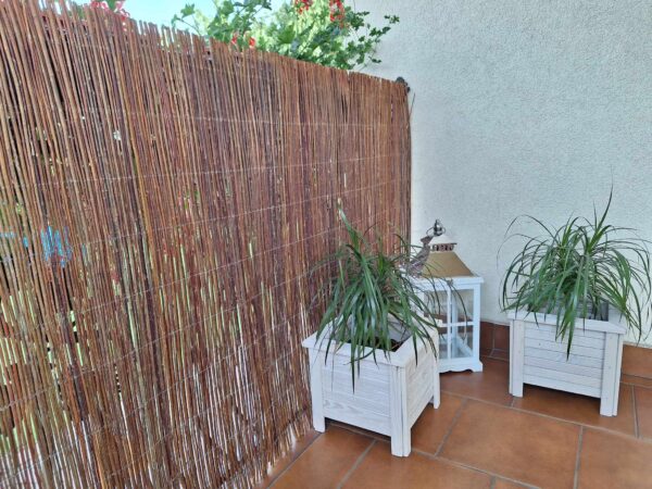 received_1025778411913675-1 received_1025778411913675-1