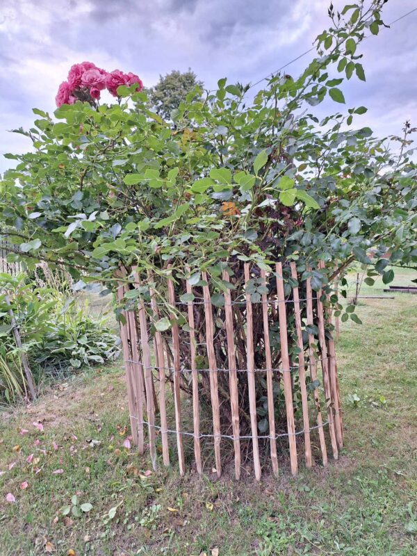 received_117219654788904 received_117219654788904