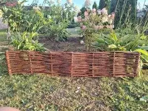 received_186368027774547