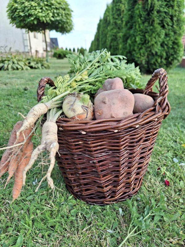 received_2270582229818067 received_2270582229818067