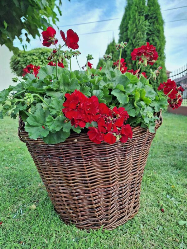 received_278139078166489 received_278139078166489