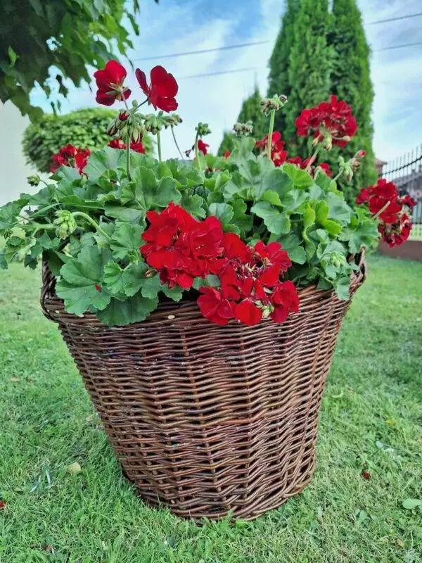 received_278139078166489 received_278139078166489