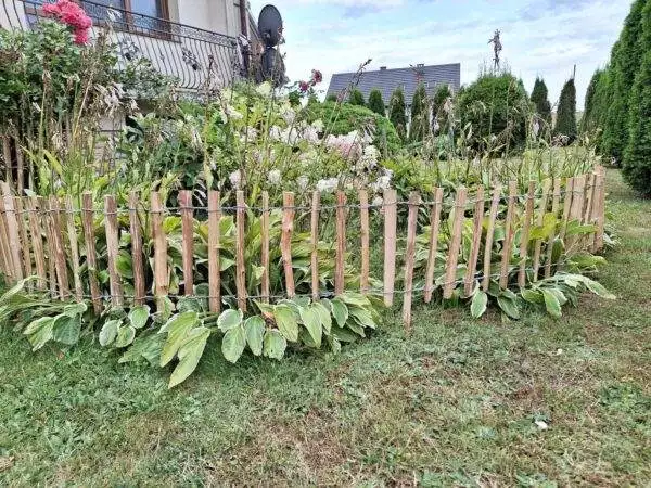 received_287784633833940 received_287784633833940