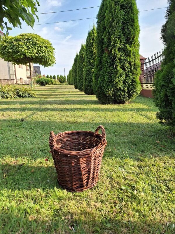 received_294166409827100 received_294166409827100