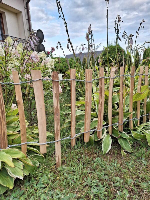 received_302507382247758 received_302507382247758