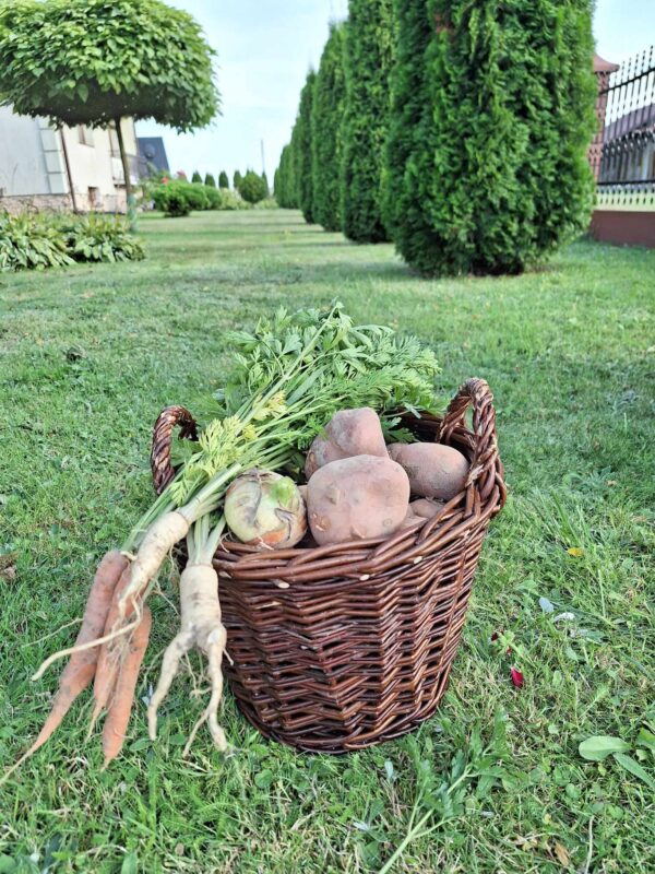 received_311640471432013 received_311640471432013