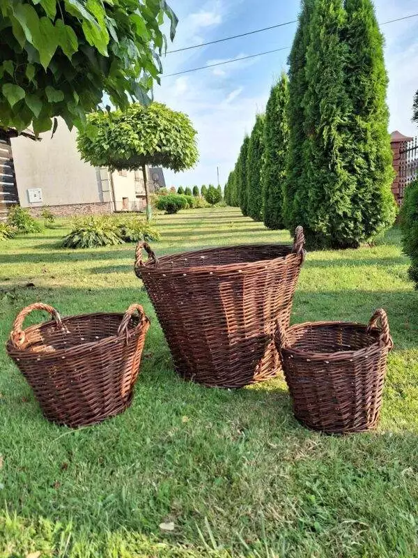 received_663560795658733 received_663560795658733