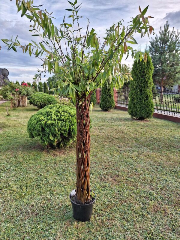 received_739213801225626 received_739213801225626