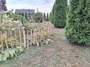 received_774351001109591