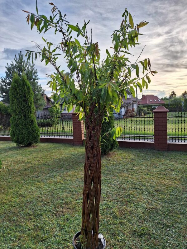 received_805042097774104 received_805042097774104