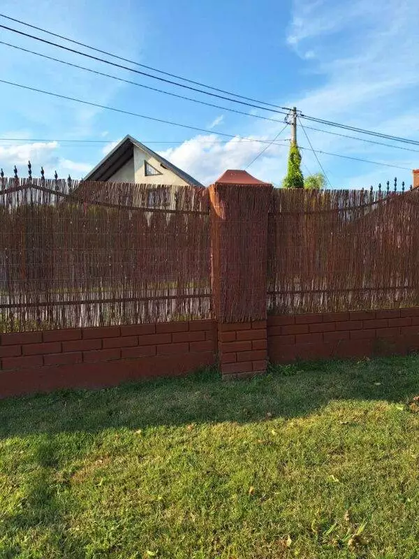 received_821372219539703-2 received_821372219539703-2