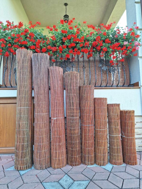 received_864331277920341-1 received_864331277920341-1