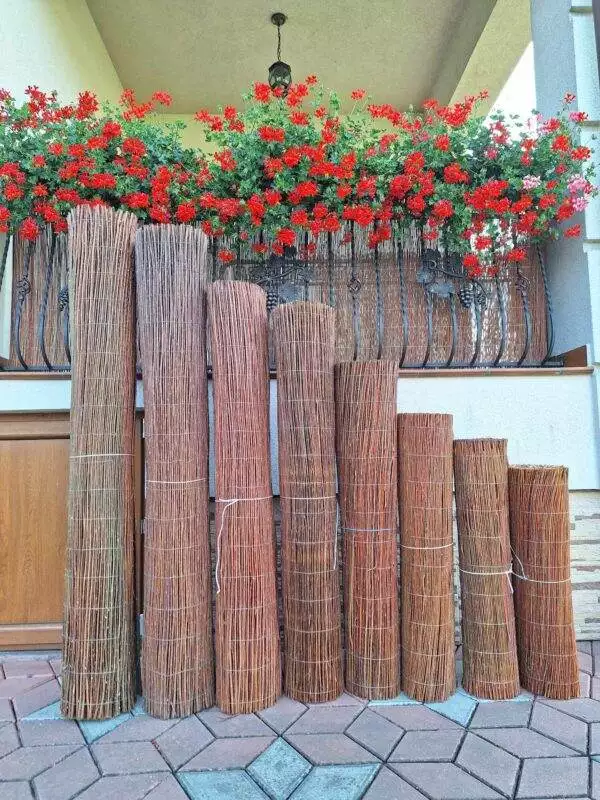 received_864331277920341-1 received_864331277920341-1