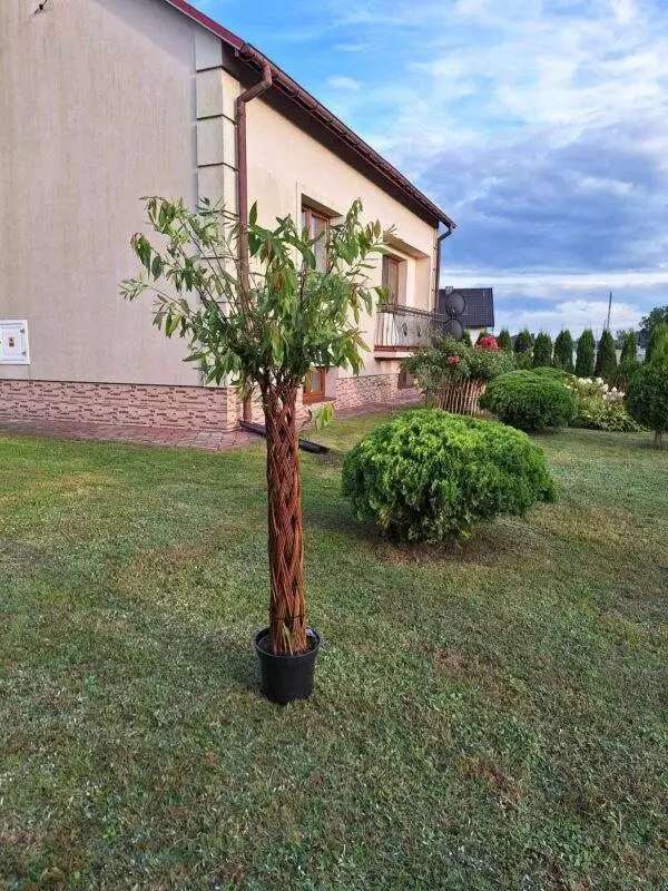 received_943042563433651 received_943042563433651