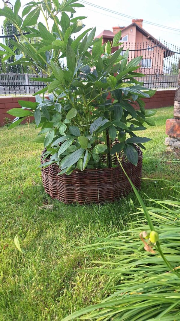 received_946610143065854 received_946610143065854