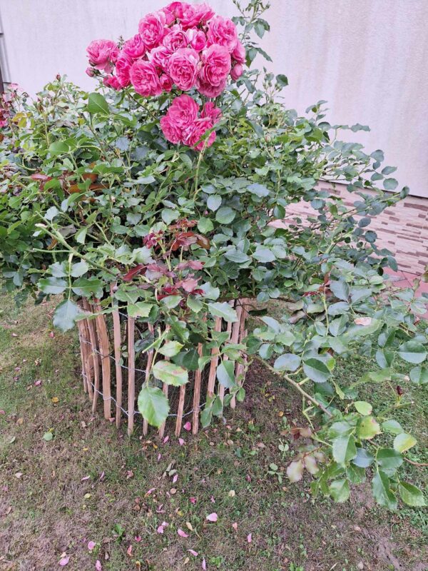 received_990891571952232 received_990891571952232