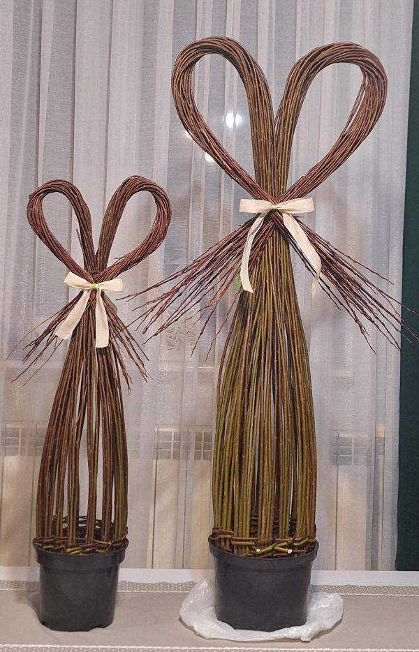 20260110_203120 20260110_203120